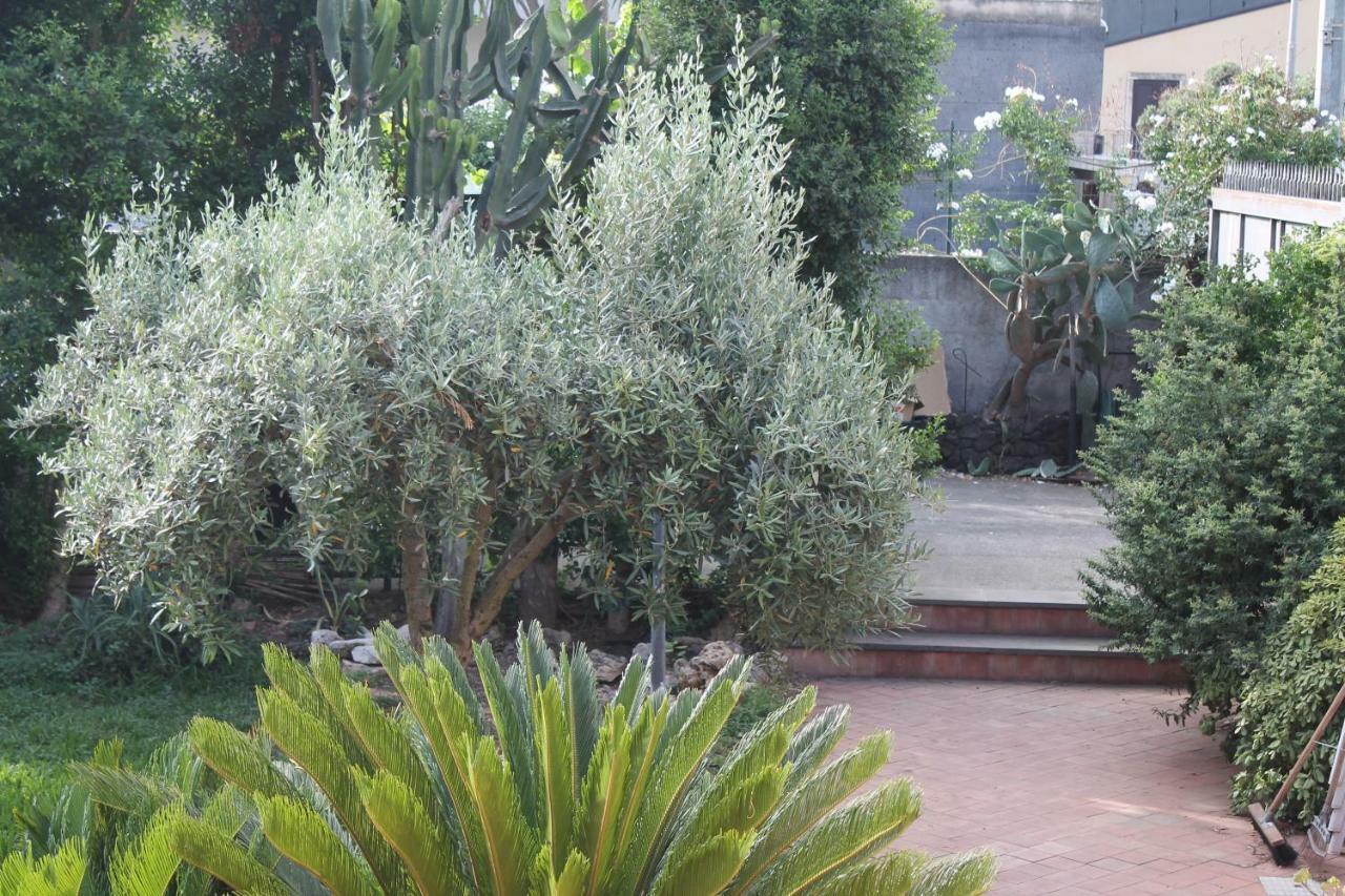 Bouganville Catania Exteriör bild